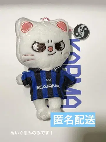 stray kids KARMA skzoo ver. 지니레트 현진