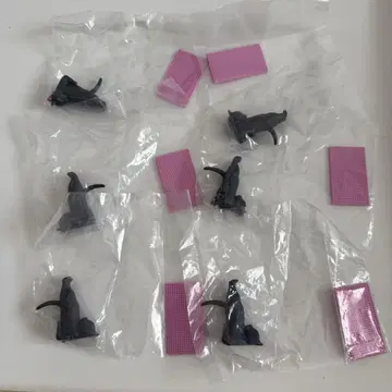 요가의 시간 2 크로네코 검은 고양이 6개