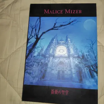 Malice Mizer 장미의 성당 디스크 흠집 있음