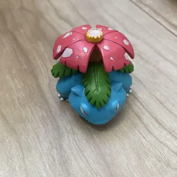 몬코레 이상해꽃