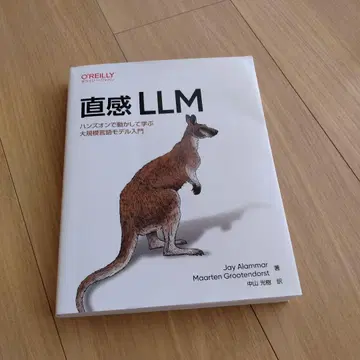 직감 LLM : 핸즈온으로 움직여 배우는 대규모 언어 모델 입문