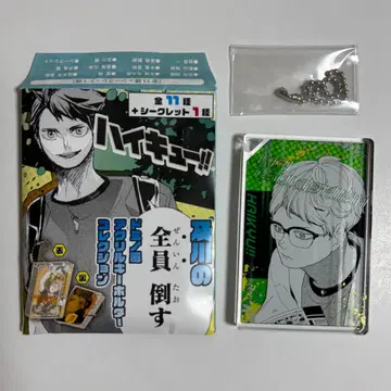 하이큐 오이카와의 전원 쓰러뜨리기 도미노풍 아크릴 키링 컬렉션