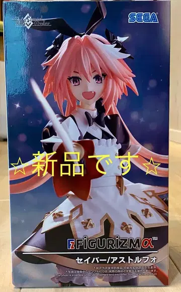 Fate/GrandOrder '세이버/아스톨포'