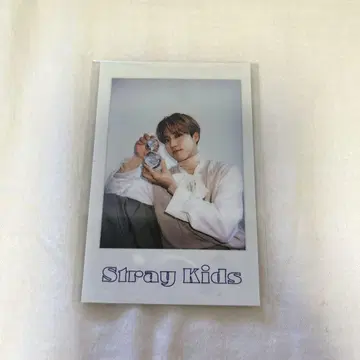 straykids 스키즈 시즌 그리팅 2022 폴라로이드 포토 카드 한