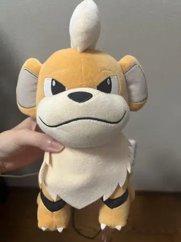 포켓몬스터 모후굿 봉제 인형 가디 직경 약 28cm