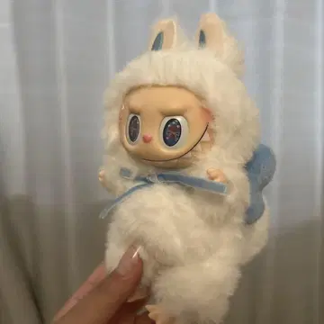 지모모