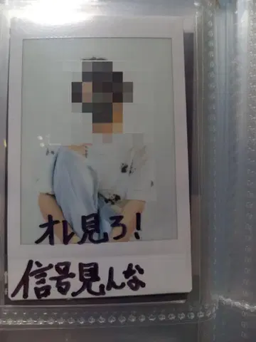 카에군 폴라로이드 23