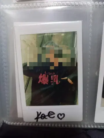 카에군 폴라로이드 98