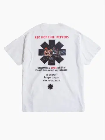 RED HOT CHILI PEPPERS 론 헤르만 렛치리 L 사이즈