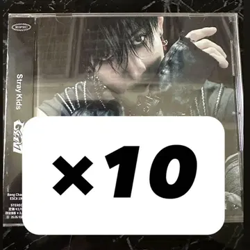 GIANT 방찬 FC반 새상품 미개봉 스키즈 straykids 10장
