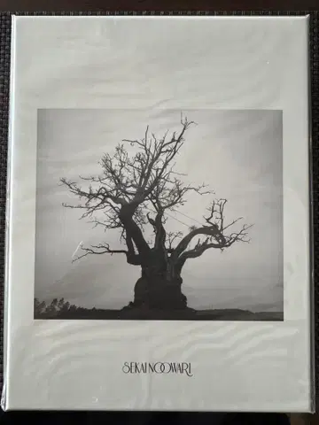 SEKAI NO OWARI 2010-2019 CD + DVD