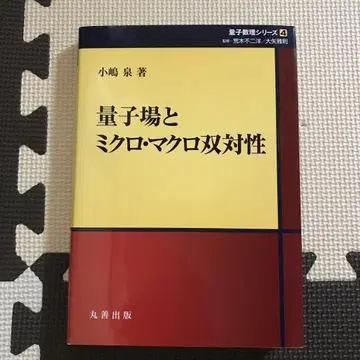 양자장과 미크로 마크로 쌍대성