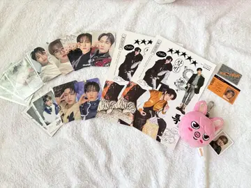 StrayKids 창빈 돼끼 공식 굿즈 포토카드 세트