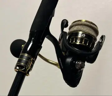 DAIWA BG SW 4000cxh