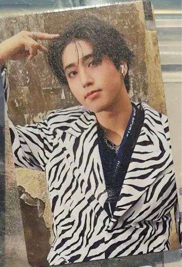 straykids 스키즈 HAN 한 라키드로 karma 트레이딩 카드