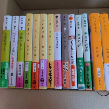 하타나카 메구미 문고본 세트