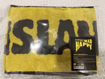 FTISLAND MAD HPPY 슬로건