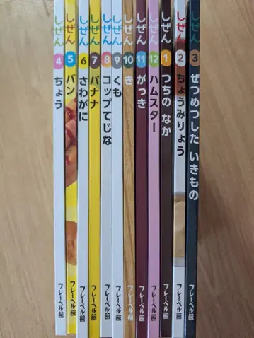 자연 시리즈 (12권) 프뢰벨관