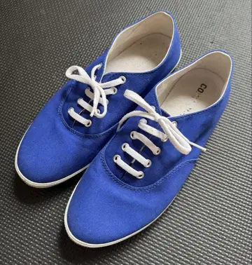 converse 신발 25.0