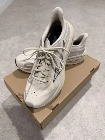미즈노 러닝화