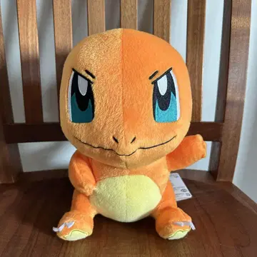 [택 포함] 포켓몬 히토카게 봉제 인형 오렌지 약 23cm