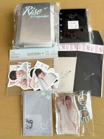 INTO YOU 수빈 굿즈