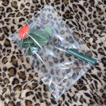 KAMIJO 로즈 라이트 MASTERPIECE