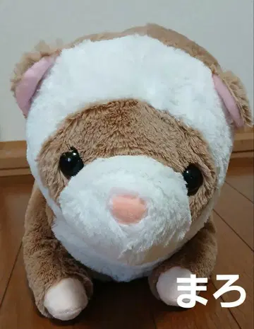 늘어지는 롱 페럿 울트라 BIG 라테