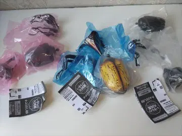 생물대도감 가부토무시09 야마토가부토 옥시덴탈리스 (캡슐판)