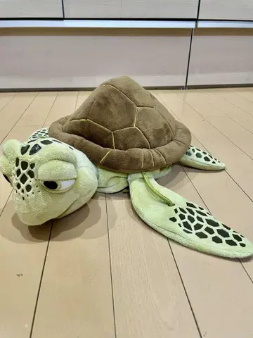 디즈니 팬캡 니모를 찾아서 크러쉬