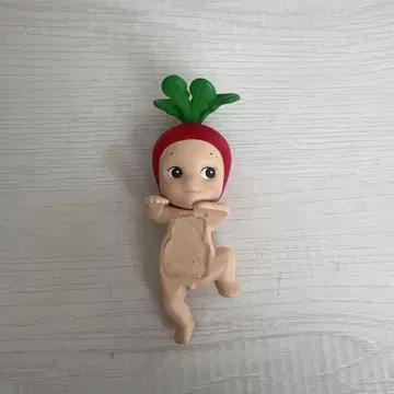 소니 엔젤 히퍼스 래디쉬