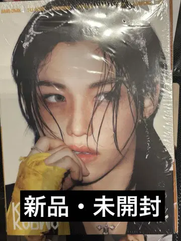 Straykids KARMA Accordion Ver. 필릭스