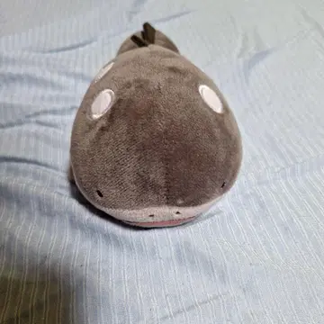 포켓몬 도오 봉제 인형 약 20cm 그레이