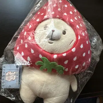 토모다치는쿠마 이치고