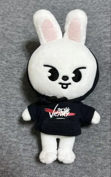 straykids 스키즈 Lee비트 미니 봉제 인형