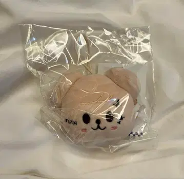 Stray Kids 스키즈 KARMA 팝업 네임택 퍼핌