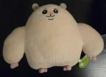 근육질 햄찌 & 명랑한 강아지 고양이 BIG 봉제 인형 라운드원 한정판
