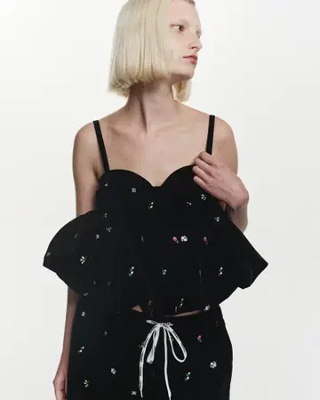bibiy. B. STARRY BUSTIER