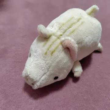 봉제 인형 세트 (돼지 돌고래. 치유대 2체) 세트