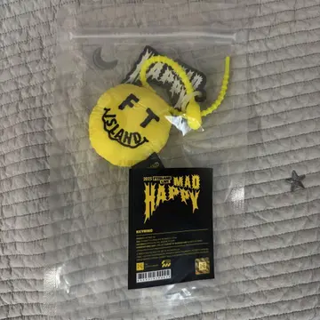 FTISLAND 서울 콘 MAD HAPPY 키링