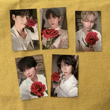 TXT 투바 tomorrow 사녹 사전 녹화 한정판 트레이딩 카드 5장