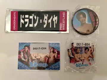드래곤 게이트 드래곤 다이아 선수 묶음 판매