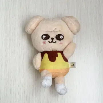 Straykids 푸딩 백참 PuppyM 승민