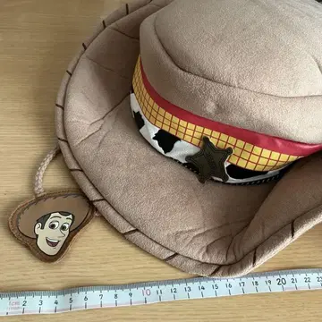 디즈니 팬 캡 토이스토리 TDR TDL