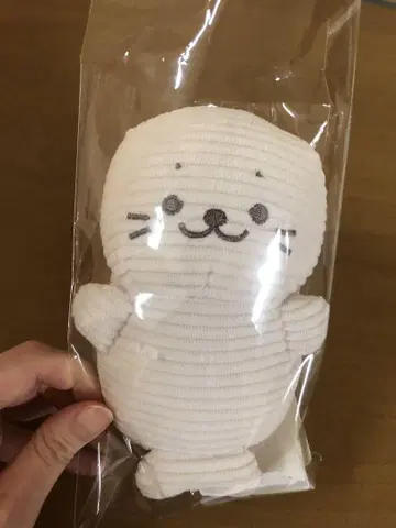 따라오는 시로탄 코듀로이