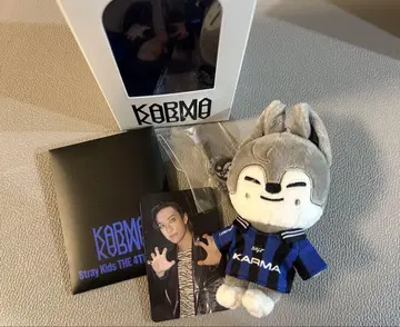 straykids KARMAskzoo 방찬 울프찬 HMV 트레이딩 카드