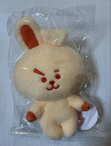 BT21 봉제 인형 5주년 기념 오렌지 COOKY