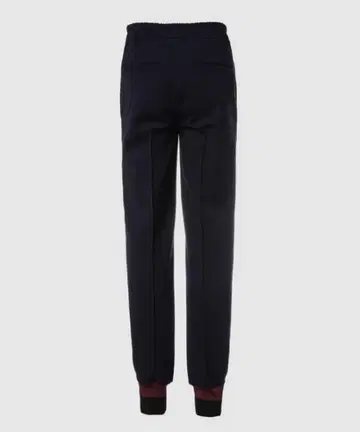 DRIES VAN NOTEN PASHMORE 6059 M.W. PANTS