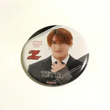 [익명 배송] EBiDAN ONE N' ONLY TETTA 캔뱃지