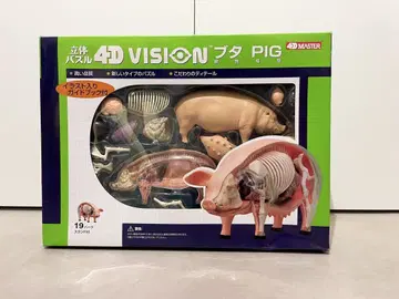 입체 퍼즐 4D VISION 동물 해부 No.01 돼지 해부 모델